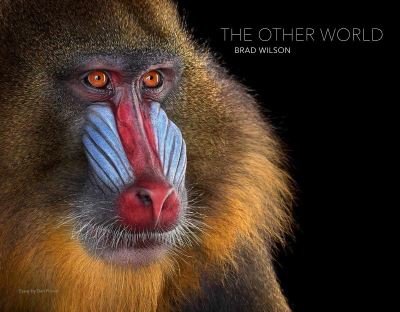 Cover for The Other World: Animal Portraits (Hardcover Book) (2021)