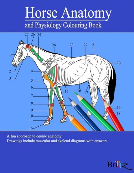 Cover for Alejandro Bath · Horse Anatomy and Physiology Colouring Book: A Detailed Guide to Equine Anatomy with Answers Perfect Gift for Veterinary Students, Animal lovers, Adults, and Teens (Paperback Bog) (2021)