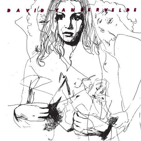 Cover for David Vandervelde · Jacket / Murder In Michigan (LP) [Standard edition] (2006)