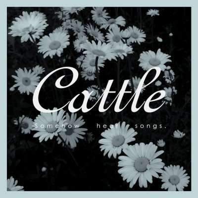 Cover for Cattle · Somehow Hear Songs (CD) [EP edition] (2015)