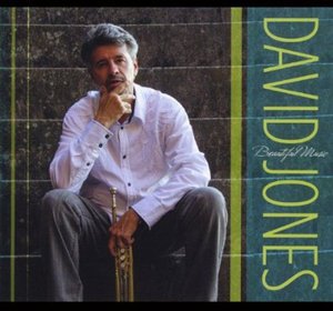 Cover for David Jones · Beautiful Music (CD) (2013)