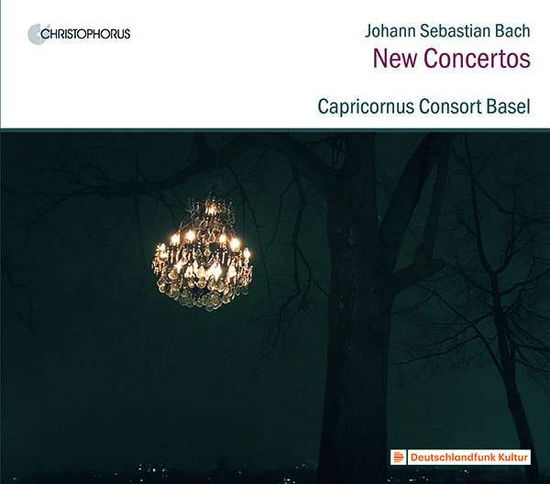 Johann Sebastian Bach: Organ Works On Strings - Capricornus Consort Basel / Peter Barczi - Muziek - CHRISTOPHORUS - 4010072774477 - 18 september 2020