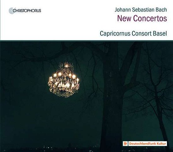 Cover for Capricornus Consort Basel / Peter Barczi · Johann Sebastian Bach: Organ Works On Strings (CD) (2020)