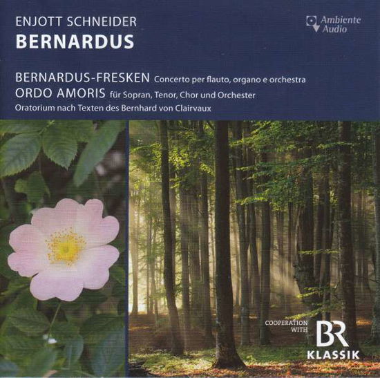 Cover for Enjott Schneider · Konzert für Flöte Orgel &amp; Orchester 'Bernardus-Fresken' (CD)
