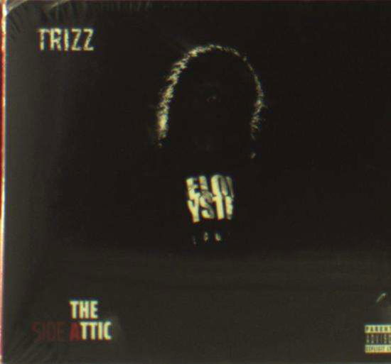 Cover for Trizz · Attic (CD) (2018)