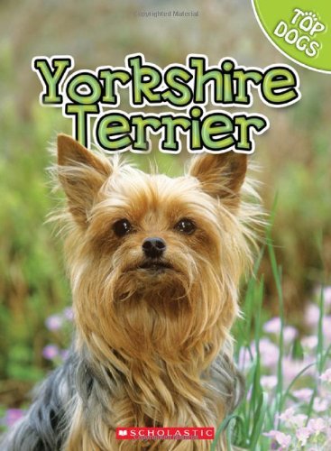 Cover for Linda George · Yorkshire Terrier (Top Dogs (Children's Press)) (Hardcover Book) (2010)