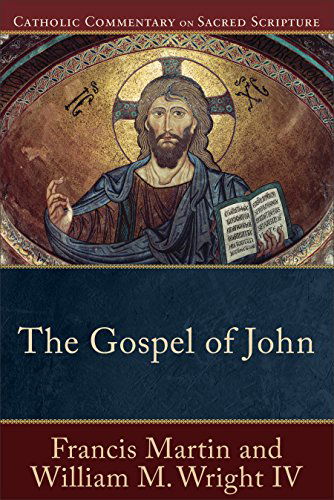 Cover for Francis Martin · The Gospel of John (Paperback Book) (2015)