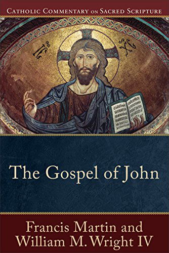 Cover for Francis Martin · The Gospel of John (Pocketbok) (2015)