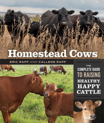 Cover for Callene Rapp · Homestead Cows: The Complete Guide to Raising Healthy, Happy Cattle (Paperback Book) (2021)