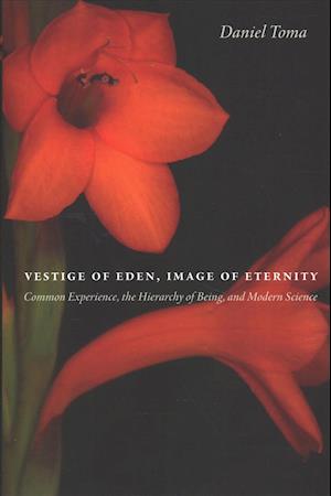 Cover for Daniel Toma · Vestige of Eden, Image of Eternity: Common Experience, the Hierarchy of Being, and Modern Science (Hardcover Book) (2019)