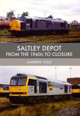 Saltley Depot: From the 1960s to Closure - Andrew Cole - Książki - Amberley Publishing - 9781445680477 - 15 kwietnia 2018