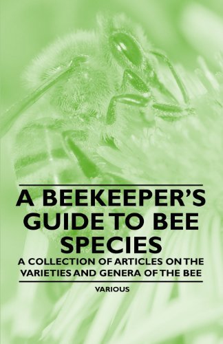 Cover for A Beekeeper's Guide to Bee Species - a Collection of Articles on the Varieties and Genera of the Bee (Paperback Book) (2011)