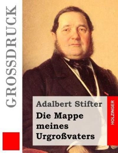 Cover for Adalbert Stifter · Die Mappe meines Urgrossvaters (Grossdruck) (Paperback Bog) (2016)