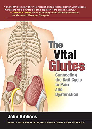 The Vital Glutes: Connecting the Gait Cycle to Pain and Dysfunction - John Gibbons - Books - North Atlantic Books - 9781583948477 - December 2, 2014