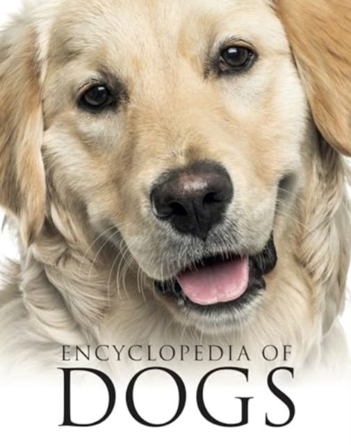 Cover for Tom Jackson · Encyclopedia of Dogs (Taschenbuch) (2024)