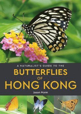 Cover for Jason Mann · A Naturalist's Guide to the Butterflies of Hong Kong - Naturalists' Guides (Paperback Book) (2024)