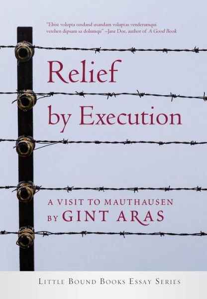 Cover for Gint Aras · Relief by Execution: A Visit to Mauthausen (Paperback Book) (2019)