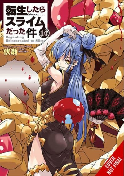 Cover for Fuse · That Time I Got Reincarnated as a Slime, Vol. 14 (light novel) (Taschenbuch) (2022)