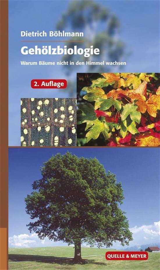 Cover for Böhlmann · Gehölzbiologie (Bok)