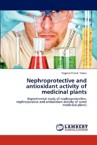 Cover for Yogesh Chand Yadav · Nephroprotective and Antioxidant Activity of Medicinal Plants: Experimental Study of Nephroprotective, Nephrocurative and Antioxidant Activity of Some Medicinal Plants (Paperback Bog) (2012)