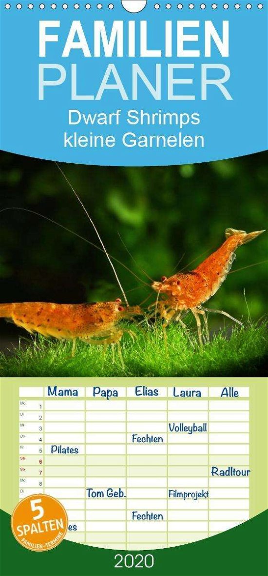 Dwarf Shrimps - kleine Garnele - Pohlmann - Books -  - 9783671098477 - 