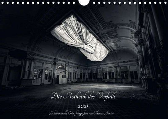 Cover for Junior · Lost in Decay 2021 - Die Ästheti (Bok)