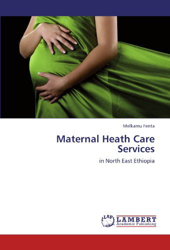 Cover for Melkamu Fenta · Maternal Heath Care Services: in North East Ethiopia (Paperback Book) (2012)