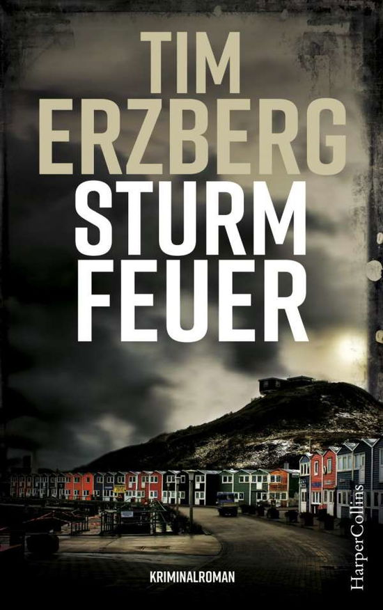 Cover for Erzberg · Sturmfeuer (Book)