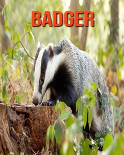 Badger - William Doyle - Books - Independently Published - 9798693764477 - October 4, 2020