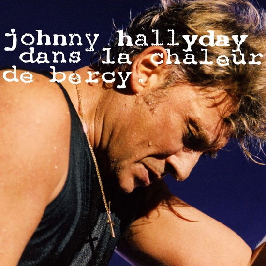 Dans La Chaleur De Bercy 91 - Johnny Hallyday - Musikk - UNIVERSAL - 0600753868478 - 29. november 2019