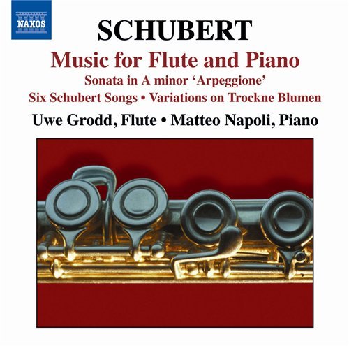 Flute & Piano Music - Franz Schubert - Musikk - NAXOS - 0747313075478 - 20. februar 2009