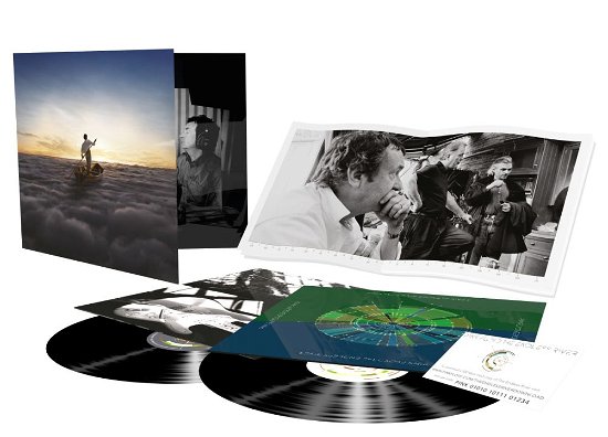 The Endless River - Pink Floyd - Musik - Warner - 0825646215478 - November 10, 2014