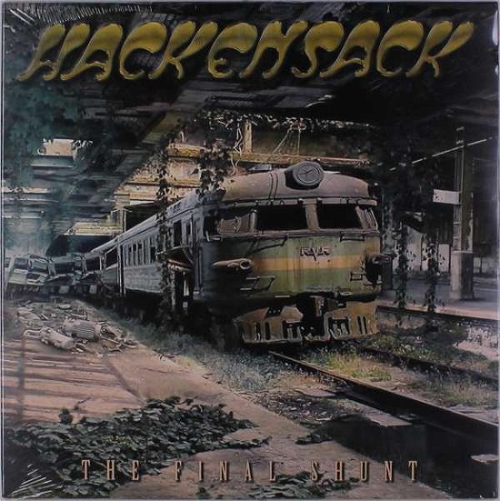 Cover for Hackensack · Final Shunt (LP) (2017)