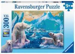 Cover for Ravensburger · In Het Rijk Van De Ijsbeer (300 Stukjes) (Jigsaw Puzzle)