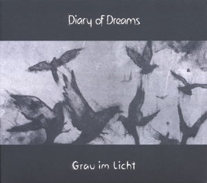 Grau Im Licht - Diary Of Dreams - Musik - ACCESSION - 4015698002478 - 12. oktober 2015