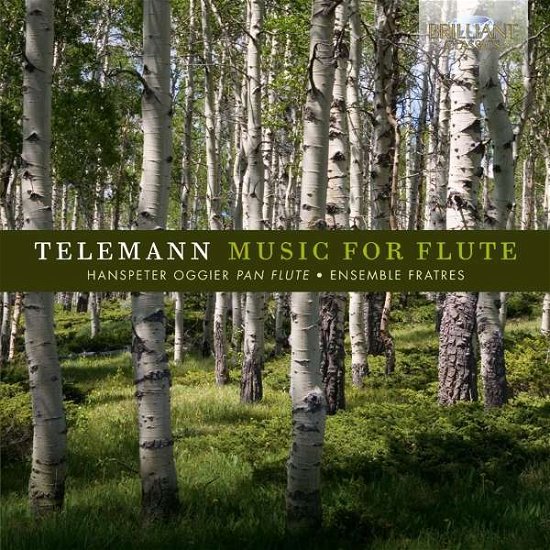 Music for Flute - Telemann / Oggier / Ensemble Fratres - Musikk - Brilliant Classics - 5028421951478 - 27. januar 2017