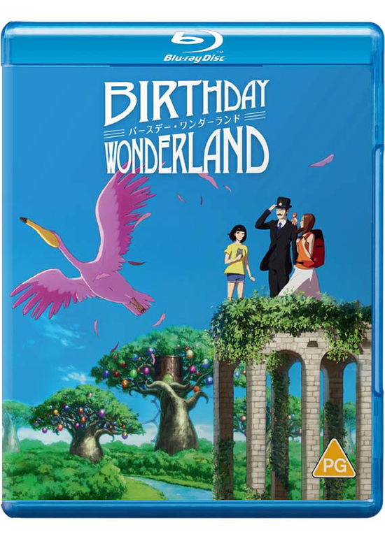 Cover for Birthday Wonderland  Standard Edition Blura · Birthday Wonderland (Blu-ray) (2020)