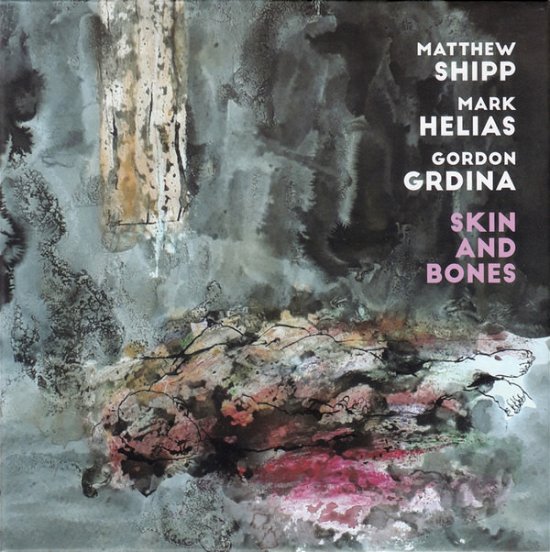Skin And Bones - Matthew Shipp - Musik - NOTTWO - 5906395187478 - 1. november 2019