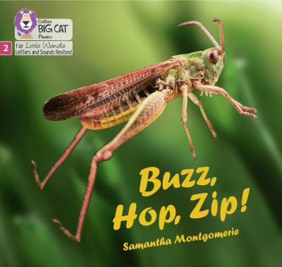 Cover for Samantha Montgomerie · Buzz, Hop, Zip!: Phase 2 Set 5 - Big Cat Phonics for Little Wandle Letters and Sounds Revised (Taschenbuch) (2021)