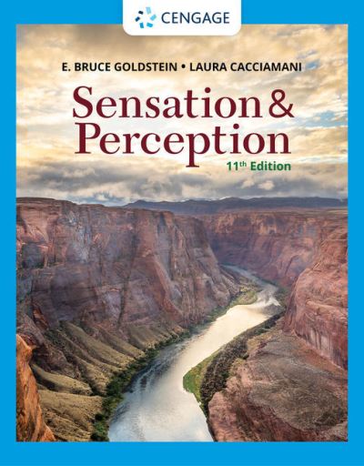 Cover for Cacciamani, Laura (California Polytechnic State University) · Sensation and Perception (Paperback Book) (2021)