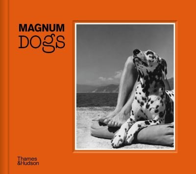 Magnum Dogs - Magnum Photos - Livros - Thames & Hudson Ltd - 9780500545478 - 25 de março de 2021