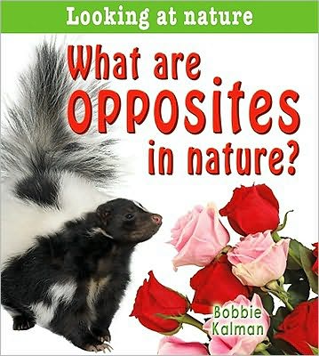 Cover for Bobbie Kalman · What is symmetry in nature? - Looking at Nature (Paperback Book) (2010)