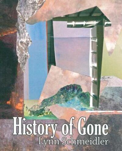 Cover for Lynn Schmeidler · History of Gone (Pocketbok) (2018)