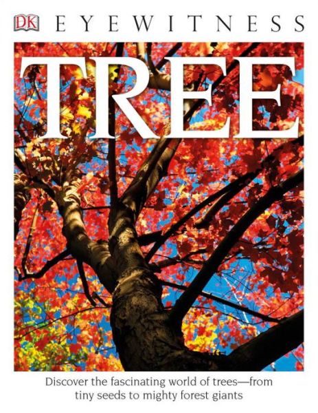 Tree - David Burnie - Książki - DK Publishing (Dorling Kindersley) - 9781465438478 - 1 września 2015