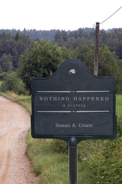 Cover for Susan A. Crane · Nothing Happened: A History (Hardcover Book) (2021)