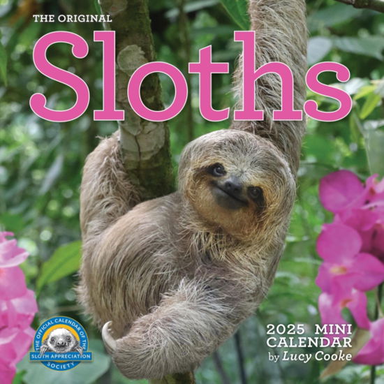 Lucy Cooke · Original Sloths Mini Wall Calendar 2025: Celebrate Life in the Slow Lane (Calendar) (2024)