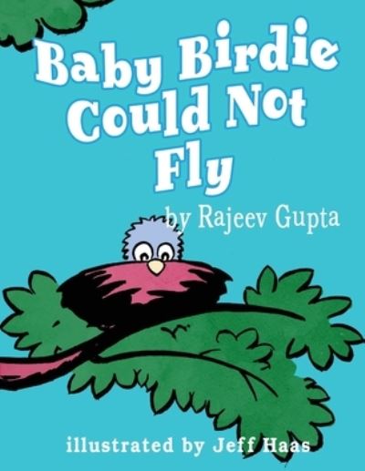 Cover for Rajeev Gupta · Baby Birdie Could Not Fly (Paperback Book) (2017)