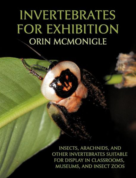 Invertebrates for Exhibition: Insects, Arachnids, and Other Invertebrates Suitable for Display in Classrooms, Museums, and Insect Zoos - Orin McMonigle - Libros - Coachwhip Publications - 9781616461478 - 29 de octubre de 2012