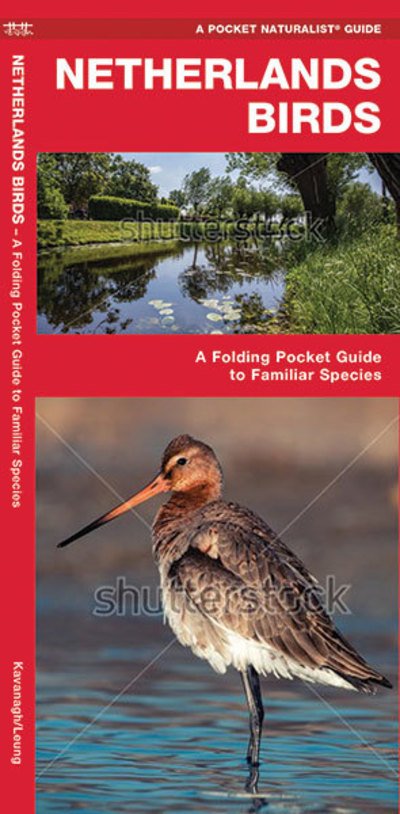 Cover for Kavanagh, James, Waterford Press · Netherlands Birds: A Folding Pocket Guide to Familiar Species - Wildlife and Nature Identification (Pamphlet) (2020)
