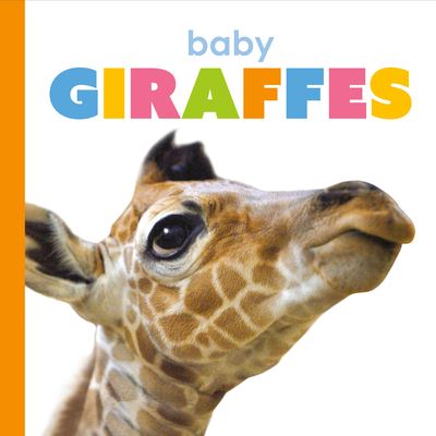 Cover for Kate Riggs · Baby Giraffes (Hardcover Book) (2020)